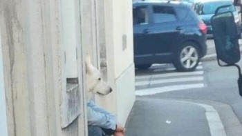 Manusia kepala anjing... Foto: Boredpanda