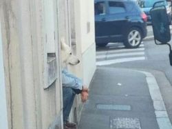 Foto Diambil Momen yang Pas, Bikin Ketawa Karena Kocak