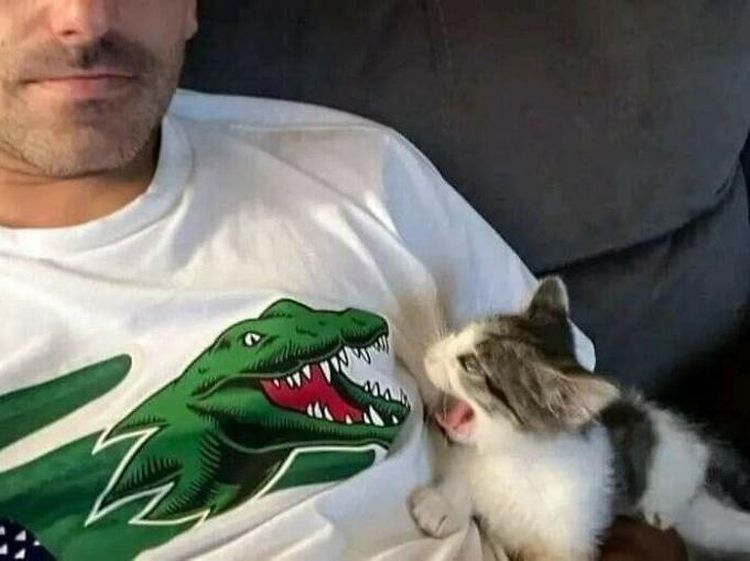 Foto Diambil Momen yang Pas, Bikin Ketawa Karena Kocak
