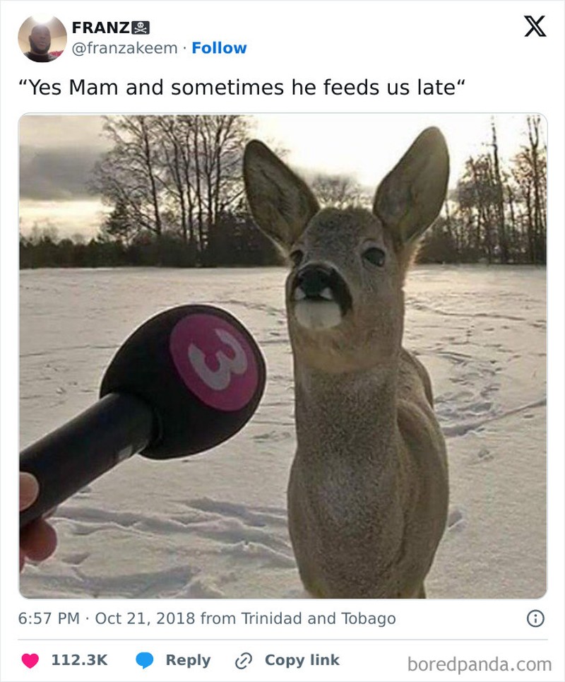 Foto kocak diambil momen yang pas