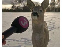 Foto Diambil Momen yang Pas, Bikin Ketawa Karena Kocak