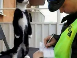 Foto Diambil Momen yang Pas, Bikin Ketawa Karena Kocak