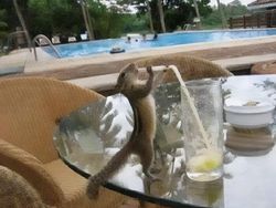 Foto Diambil Momen yang Pas, Bikin Ketawa Karena Kocak