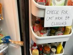 Foto Diambil Momen yang Pas, Bikin Ketawa Karena Kocak