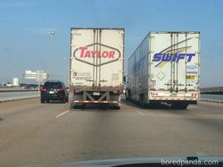 Foto Diambil Momen yang Pas, Bikin Ketawa Karena Kocak