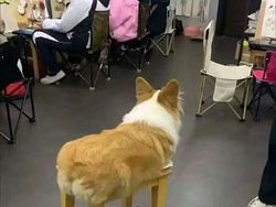 Foto Diambil Momen yang Pas, Bikin Ketawa Karena Kocak