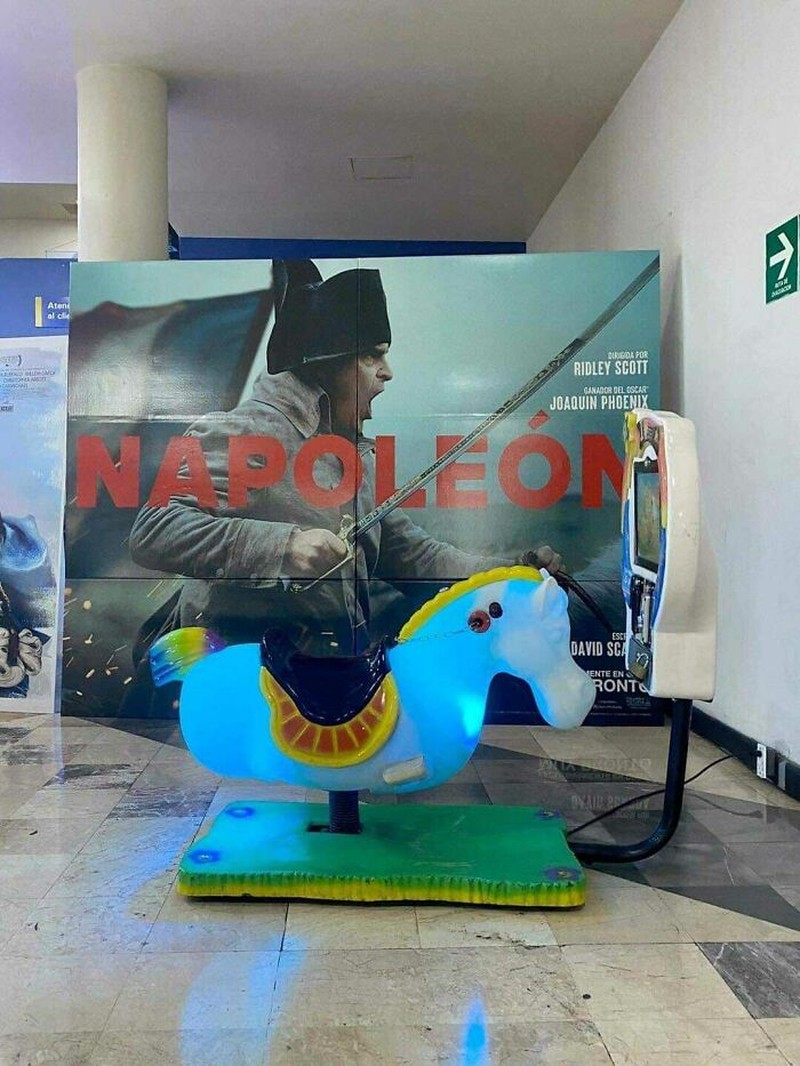 Foto kocak diambil momen yang pas