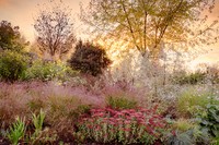 International Garden Photographer of the Year 2024