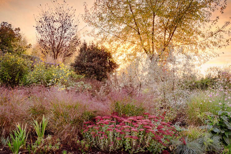 International Garden Photographer of the Year 2024