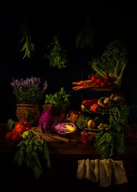 International Garden Photographer of the Year 2024