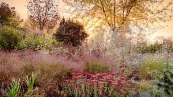 Autumn Sunset hasil jepretan Annie Green-Armytage memenangkan kategori Beautiful Gardens. Foto ini diambil di taman pribadi di Suffolk, Inggris. Foto: Annie Green-Armytage/International Garden Photographer of the Year 2024