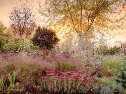 Keindahan Jawara Kontes Foto Taman, Ada dari Indonesia
