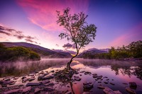 International Garden Photographer of the Year 2024