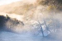 International Garden Photographer of the Year 2024