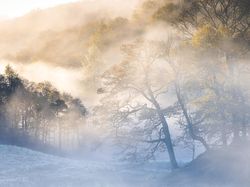 Keindahan Jawara Kontes Foto Taman, Ada dari Indonesia