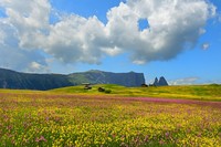International Garden Photographer of the Year 2024
