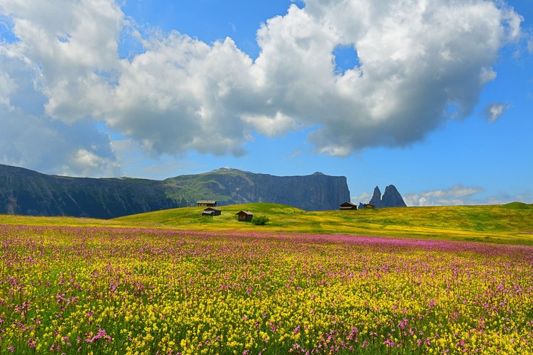 International Garden Photographer of the Year 2024