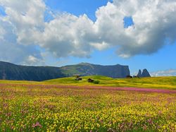 Keindahan Jawara Kontes Foto Taman, Ada dari Indonesia
