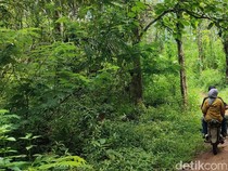 Kampung Terpencil di Ciamis Punya Pantangan: Jangan Ngomong Sembarangan!