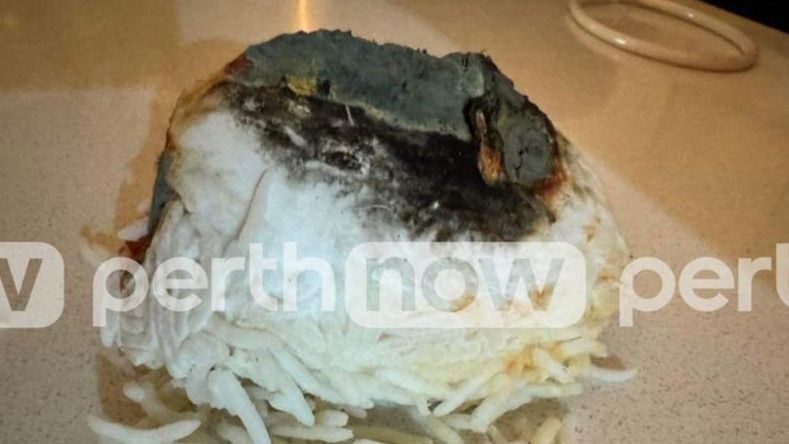 mengerikan!  Didalam Bungkus Nasi Ini Ada Seekor Tikus Terbakar