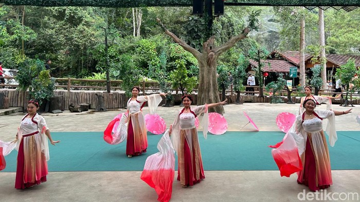 Rangkaian pesta rakyat perayaan Imlek 2024 di Taman Safari Bogor berlangsung sangat meriah. Ribuan pengunjung dari berbagai daerah di Indonesia menyambut sejumlah suguhan atraksi menarik di Taman Safari Bogor sejak Kamis (8/2/2024) hingga hari ini, Jumat (9/2/2024).