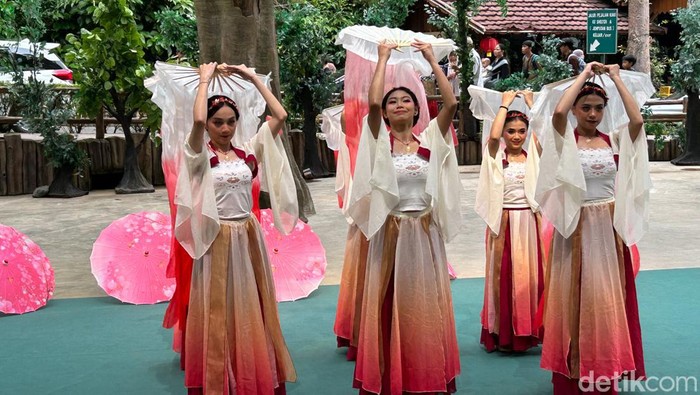 Rangkaian pesta rakyat perayaan Imlek 2024 di Taman Safari Bogor berlangsung sangat meriah. Ribuan pengunjung dari berbagai daerah di Indonesia menyambut sejumlah suguhan atraksi menarik di Taman Safari Bogor sejak Kamis (8/2/2024) hingga hari ini, Jumat (9/2/2024).