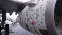 Pesawat milik Avion Express A320 yang melakukan penerbangan X98242 dari Bergamo ke Vilnius (Foto: Istimewa/FL360aero)
