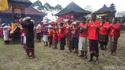 Umat Tridharma di Dusun Lampu, Desa Catur, Kecamatan Kintamani, Bangli, Bali, rayakan Imlek di kongco Pura Penyagjagan, Sabtu (10/2/2024). (Agus Eka Purna Negara/detikBali)