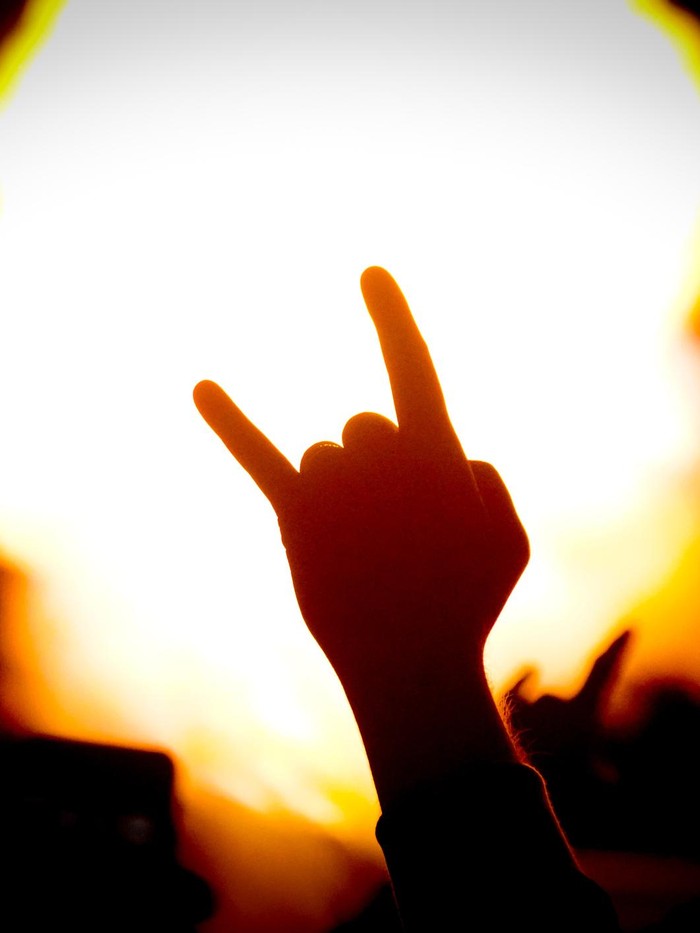 silhouette of hand gesturing in front of fire during a concert