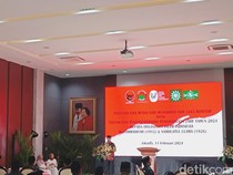 Basarah Ungkap Peran Megawati Bawa NU-Muhammadyah Raih Zayed Award 2024