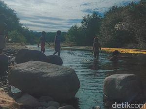 Healing Gratis di Bendungan Konga Flores Timur, Bisa Mandi Sambil Cari Ikan