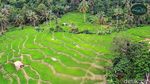 Potret Eksotika Ubud Bali di Kampung Turis Karawang