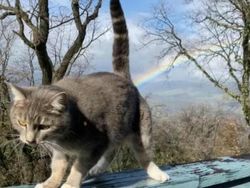 Kumpulan Gambar Lucu yang Bisa Bikin Happy