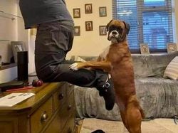 Kumpulan Gambar Lucu yang Bisa Bikin Happy