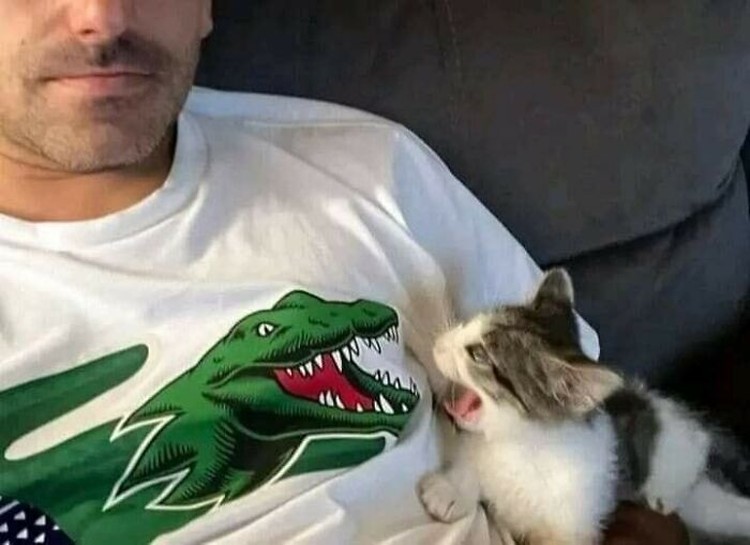 Kumpulan Gambar-gambar Lucu di Internet yang Bisa Bikin Happy Apabila dirasa suasana hari kalian sedang buruk, mungkin bisa lihat kumpulan gambar lucu berikut ini. Siapa tau bisa membuat mood menjadi lebih happy.