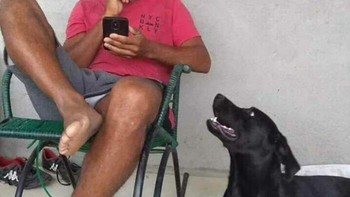 Hayo pak, lagi liat video apa? Anjingnya udah takut banget itu. Foto: (Bored Panda).