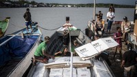 Sejumlah relawan memindahkan logistik Pemilu 2024 ke atas kapal di dermaga feri Distrik Agats, Kabupaten Asmat, Papua Selatan, Minggu (11/2/2024). ANTARA FOTO/Aprillio Akbar