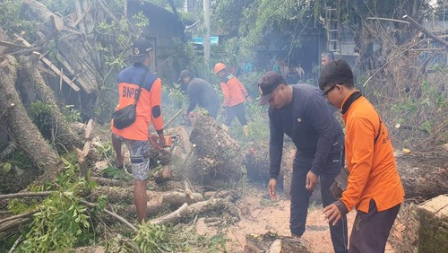 TRC BPBD Gianyar menangani longsor di kawasan Desa Keliki, Gianyar, Minggu (11/2/2024). (foto : Dok BPBD Gianyar).