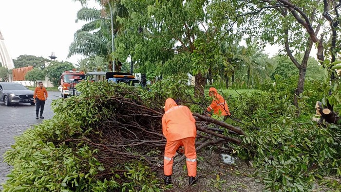 Pohon tumbang di sejumlah lokasi di Surabaya.
