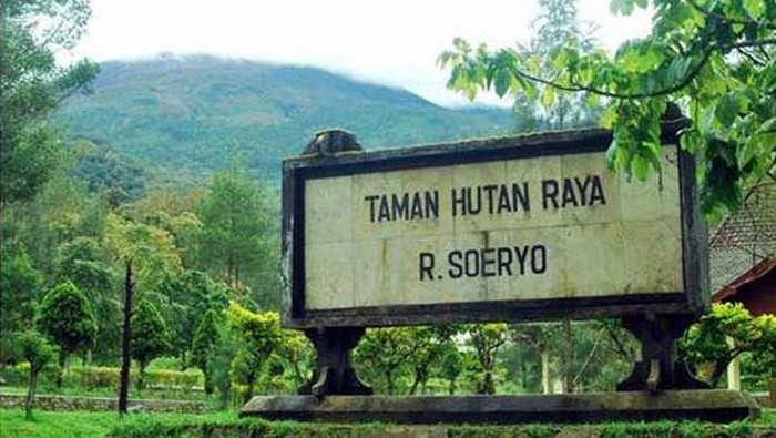 Tahura Raden Soerjo Malang.