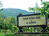 Tahura Raden Soerjo: Surga Tersembunyi di Jawa Timur