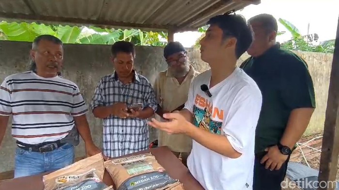 YouTuber, Alshad Ahmad mengunjungi Medan Zoo untuk memberikan bantuan vitamin ke harimau. (Goklas Wisely/detikSumut)