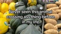 “Saya belum pernah melihat buah dari permainan Animal Crossing ini sebelumnya,” tulis Soupi. Foto: TikTok @easy2spook