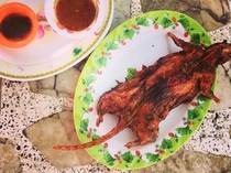 Bukan Dibasmi, Tikus Justru Jadi Makanan Lezat dan Populer di 5 Negara Ini