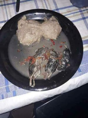 Bukan Dibasmi, Tikus Justru Jadi Makanan Lezat dan Populer di 5 Negara Ini