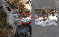 Deretan Foto Punya Latar Belakang Mengerikan