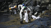 Perdana Menteri Trinidad dan Tobago pada hari Minggu mengatakan mereka sedang mencari kapal misterius yang menumpahkan zat mirip minyak. Perdana Menteri Keith Rowley mengatakan kapal itu “tampaknya hanyut terbalik” ke zona pesisir Tobago.  