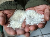 Harga Beras Naik, Pengecer Ambil Untung Tipis