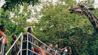 Wakil Menteri Pariwisata dan Ekonomi Kreatif (Wamenparekraf) Angela Tanoesoedibjo bahkan menyebut tempat ini telah mencapai 70 persen permulihan pasca pandemi.