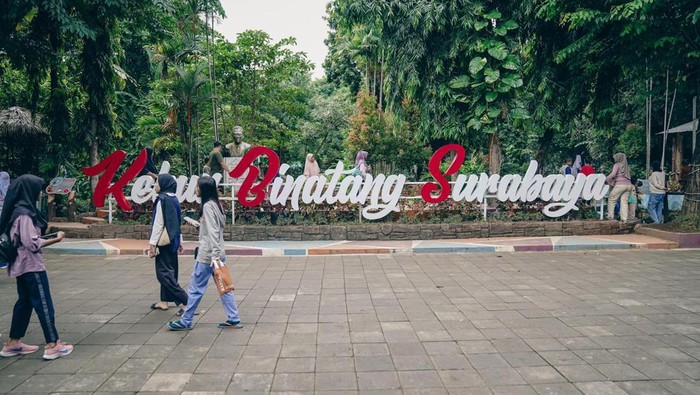 Kebun Binatang Surabaya, Minggu (11/2/2024).